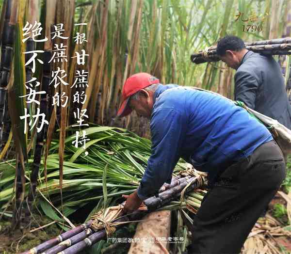 九吉公老红糖，慢熬真功夫 第1张图片 