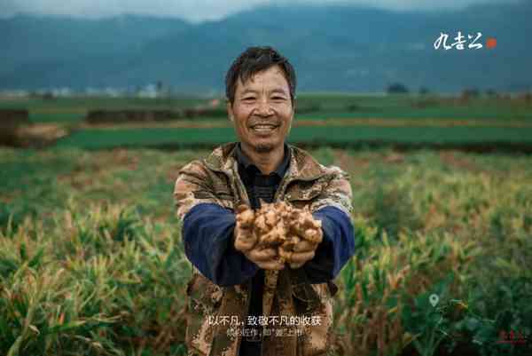 九吉公姜母茶，从味道里，就能品出高原食材的与众不同 第5张图片 