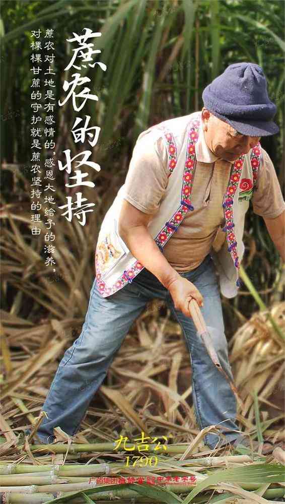 九吉公|总有一番滋味在心头 第3张图片 