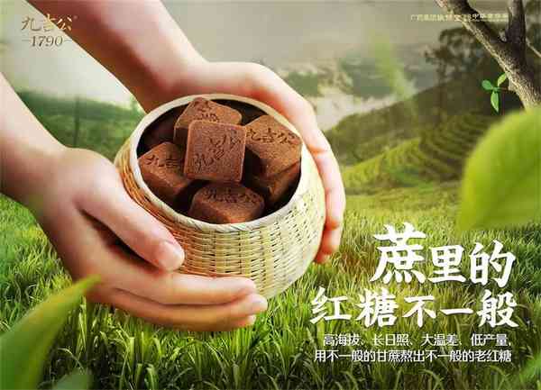 九吉公|总有一番滋味在心头 第5张图片 