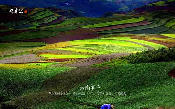 九吉公|一方水土，一方人，一方好物 第2张图片 