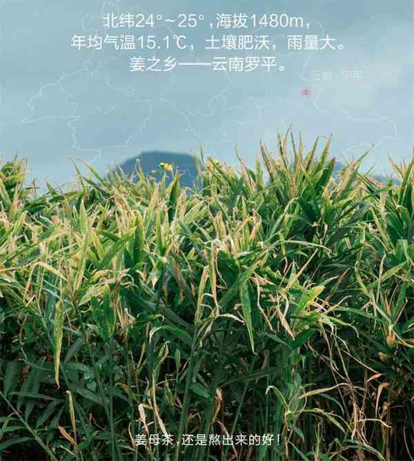 九吉公|一方水土，一方人，一方好物 第4张图片 