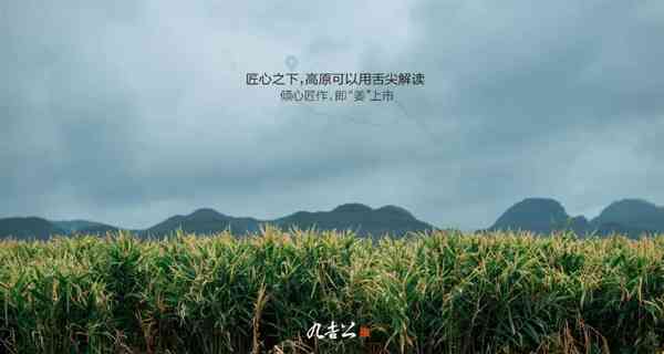 九吉公|一方水土，一方人，一方好物 第5张图片 