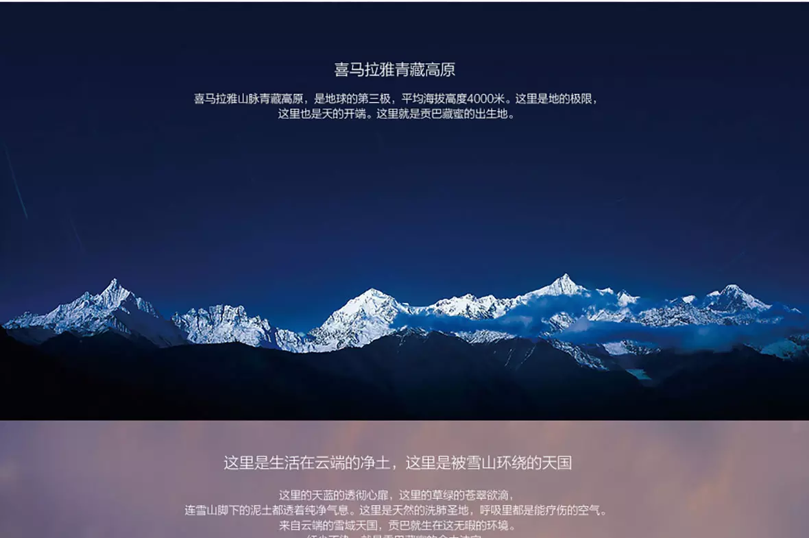贡巴藏蜜 第4张图片 