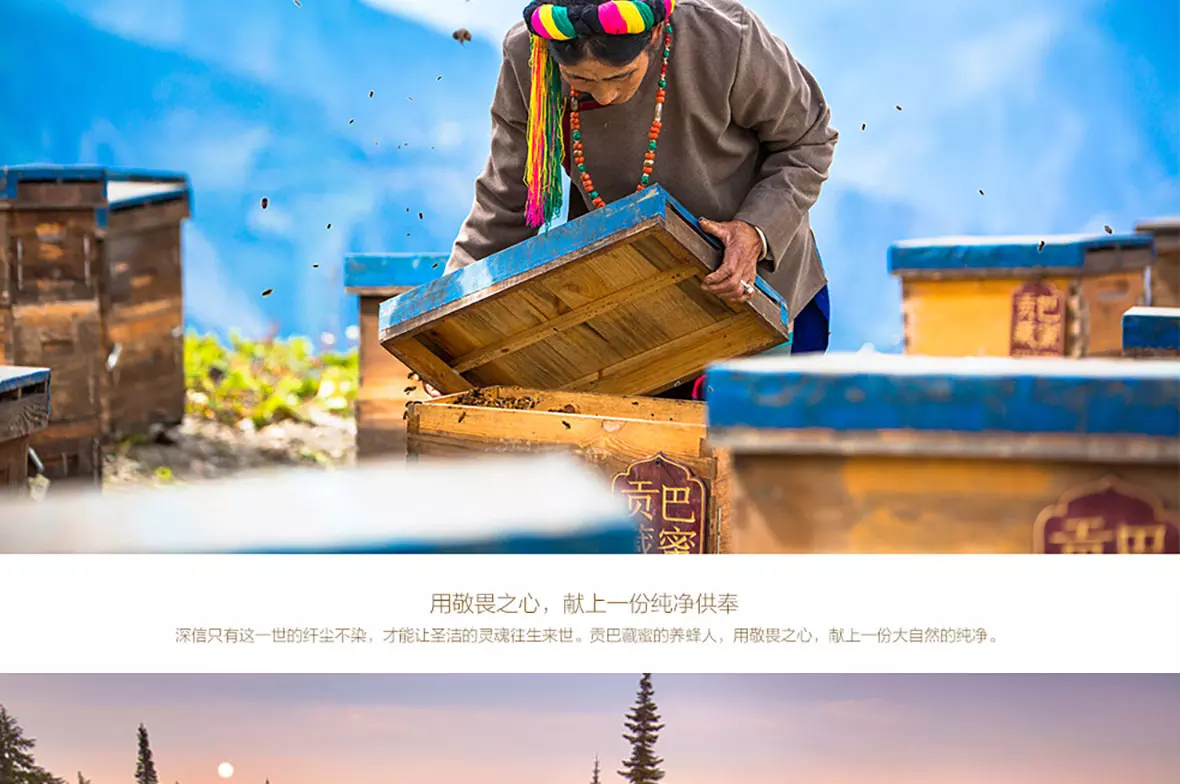 贡巴藏蜜 第10张图片 