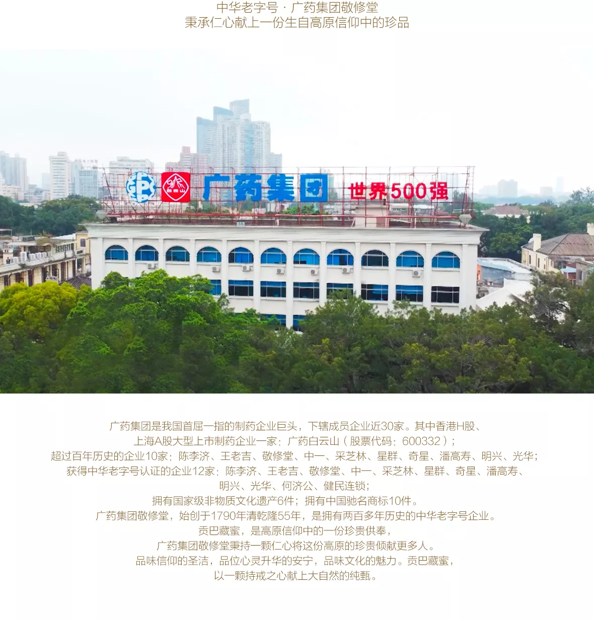 贡巴藏蜜 第10张图片 