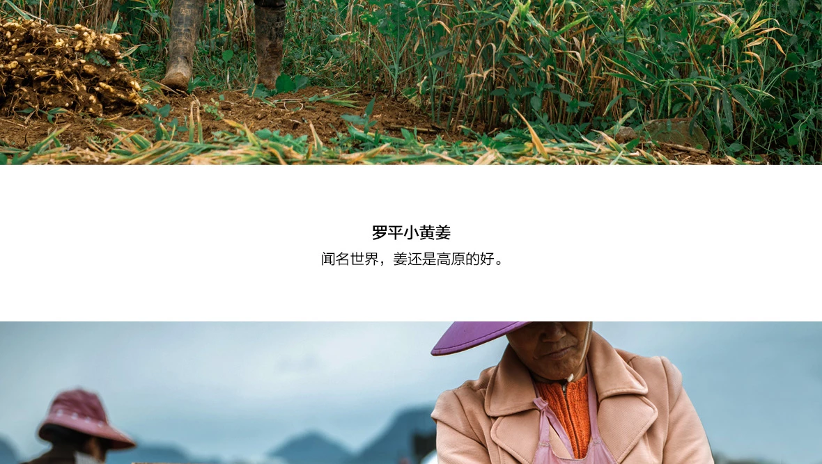 姜母茶 第3张图片 