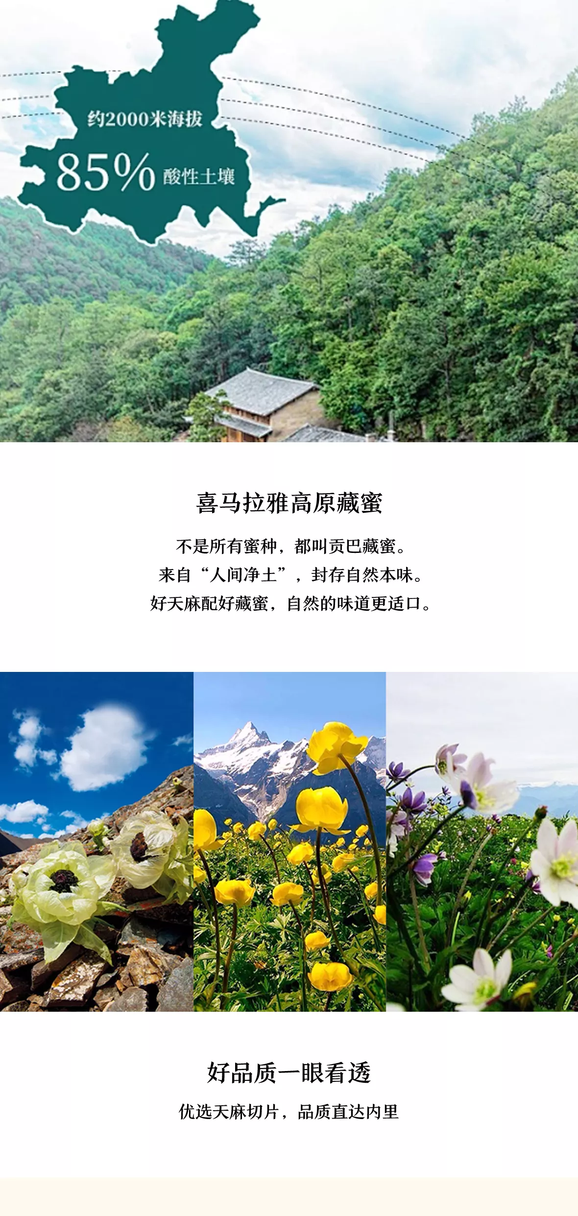 蜜制天麻片 第3张图片 