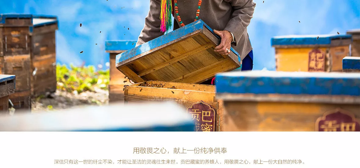 贡巴藏蜜
