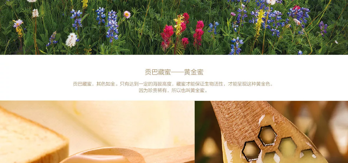 贡巴藏蜜